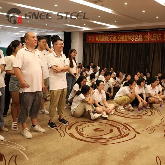 DC07 Cold Rolled Steel Sheet